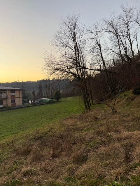 Terreno seminativo boschivo a Cantù Cucciago 
