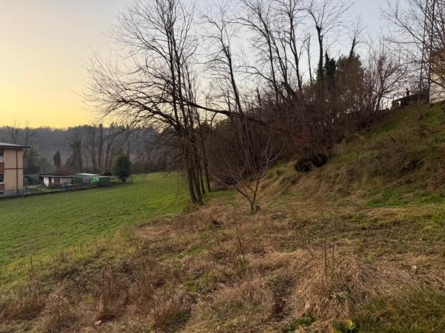 Terreno seminativo boschivo a Cantù Cucciago 