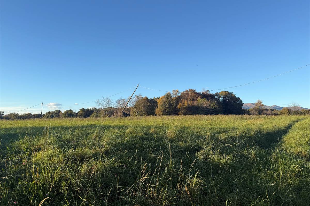 CANTU' AMPIO TERRENO PANORAMICO