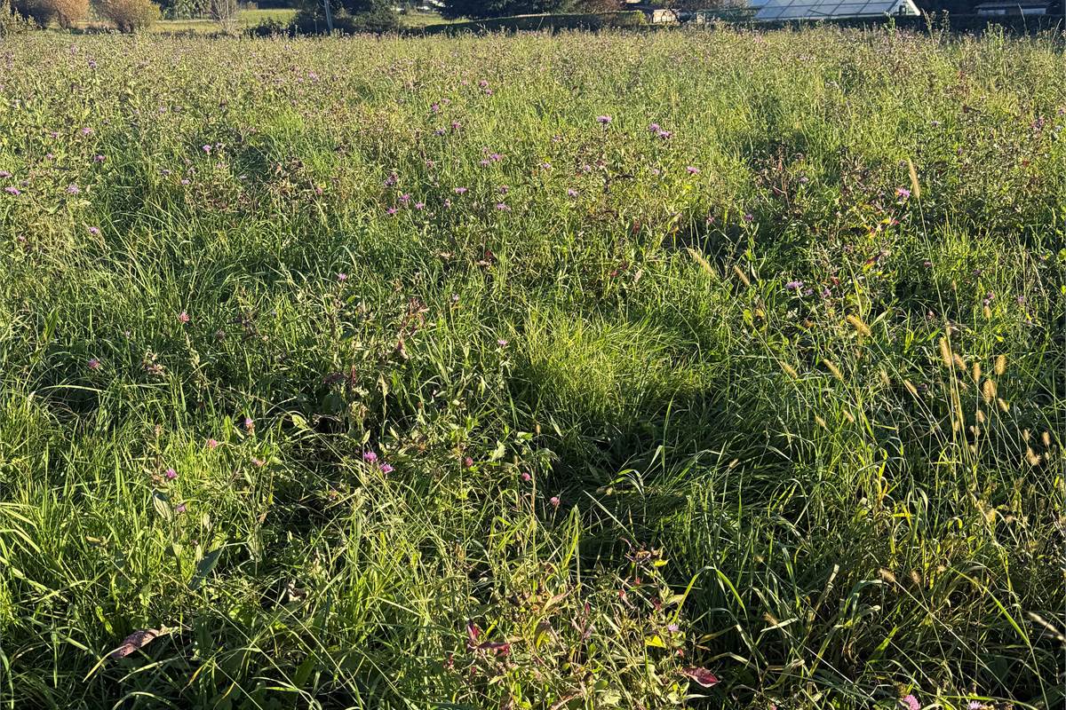 CANTU' AMPIO TERRENO PANORAMICO