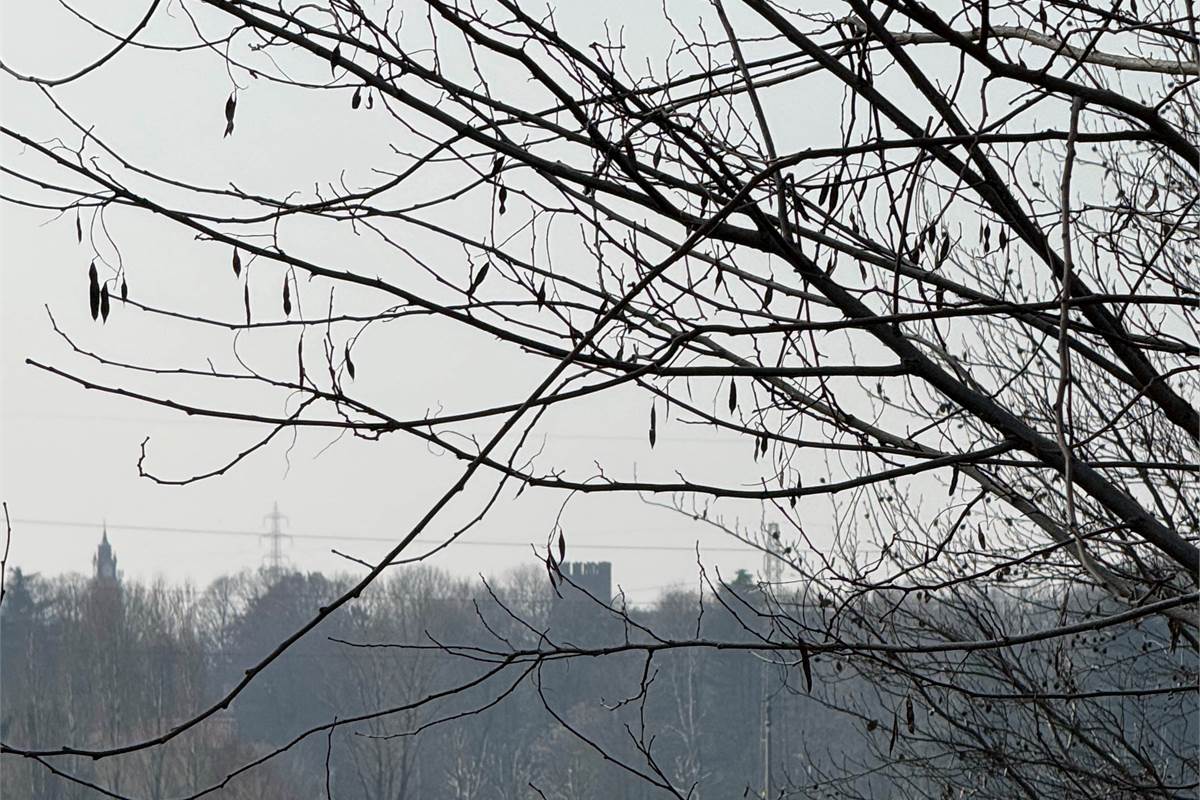FIGINO SERENZA: ESCLUSIVO TERRENO EDIFICABILE CON VISTA PANORAMICA 