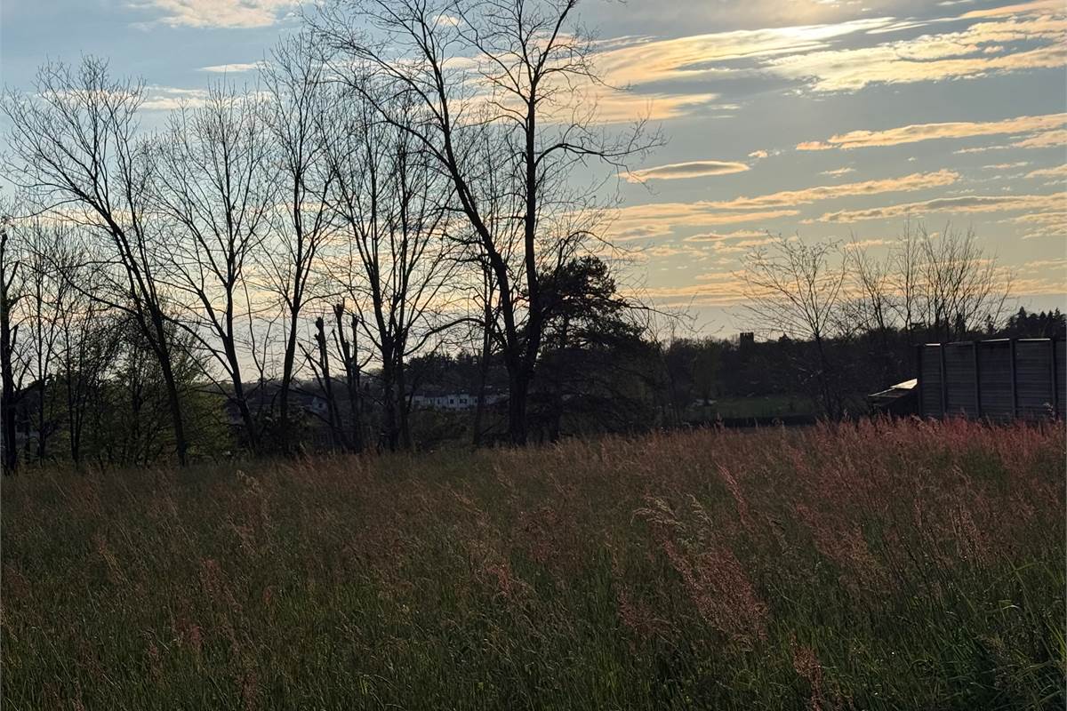 FIGINO SERENZA: ESCLUSIVO TERRENO EDIFICABILE CON VISTA PANORAMICA 