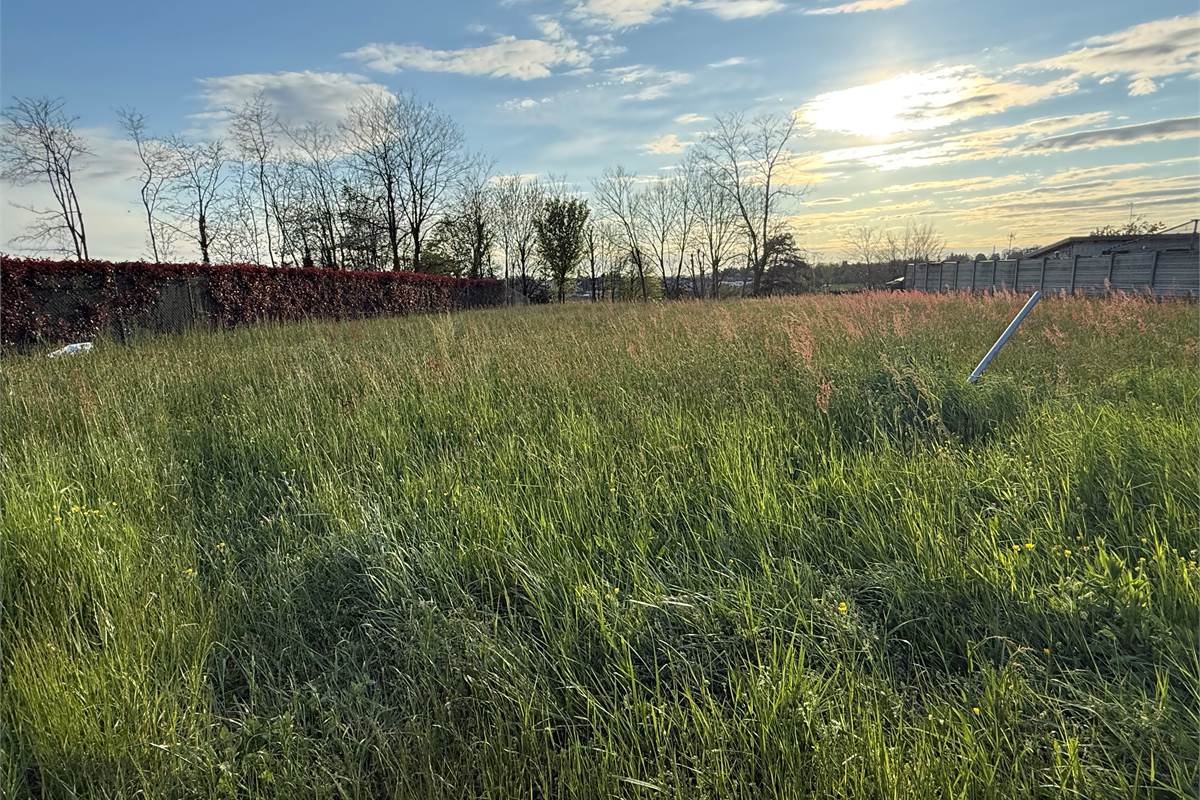FIGINO SERENZA: ESCLUSIVO TERRENO EDIFICABILE CON VISTA PANORAMICA 