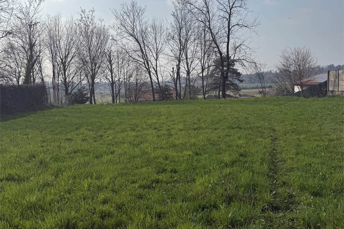 FIGINO SERENZA: ESCLUSIVO TERRENO EDIFICABILE CON VISTA PANORAMICA 
