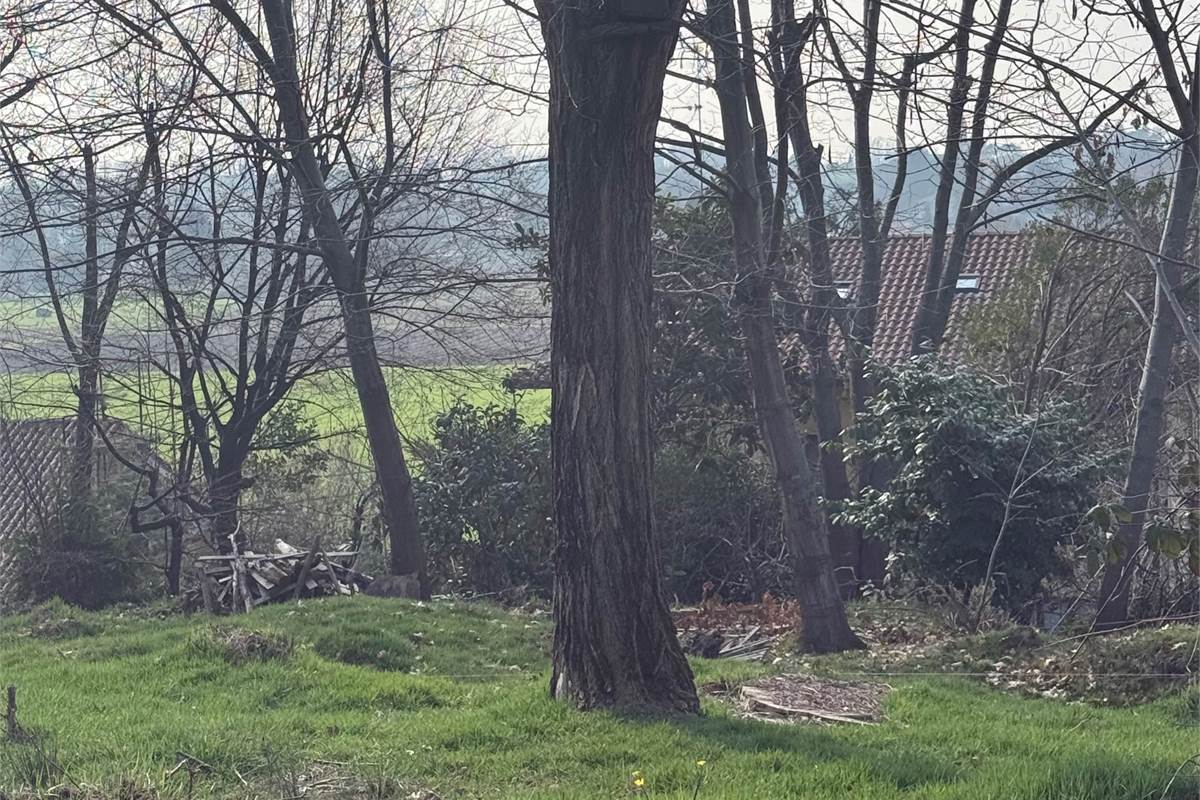 FIGINO SERENZA: ESCLUSIVO TERRENO EDIFICABILE CON VISTA PANORAMICA 