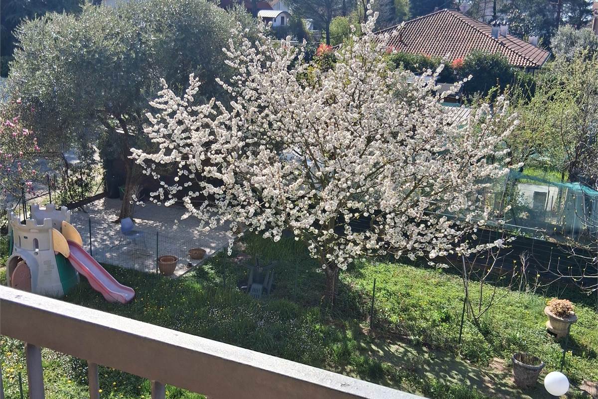 3 locali In Vendita a Lurago Marinone