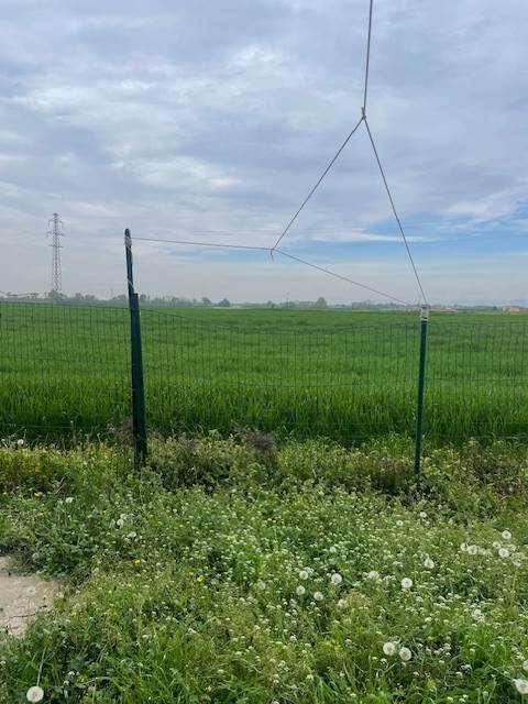 3 locali In Vendita a Lomazzo