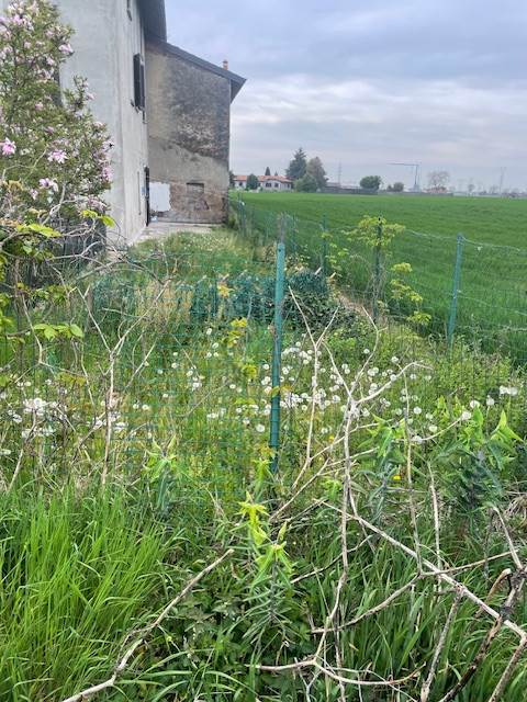 3 locali In Vendita a Lomazzo