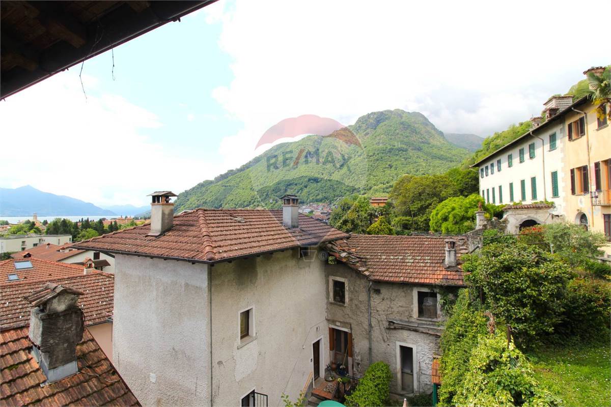 Vista