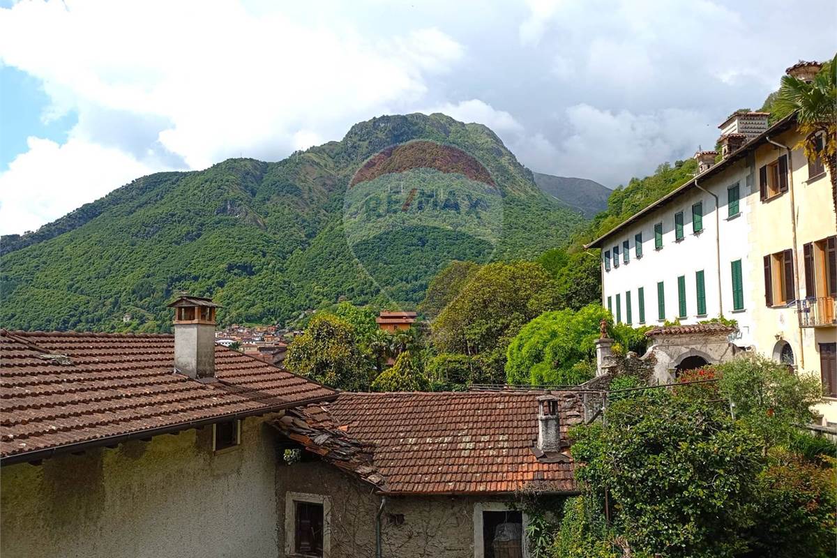 Vista