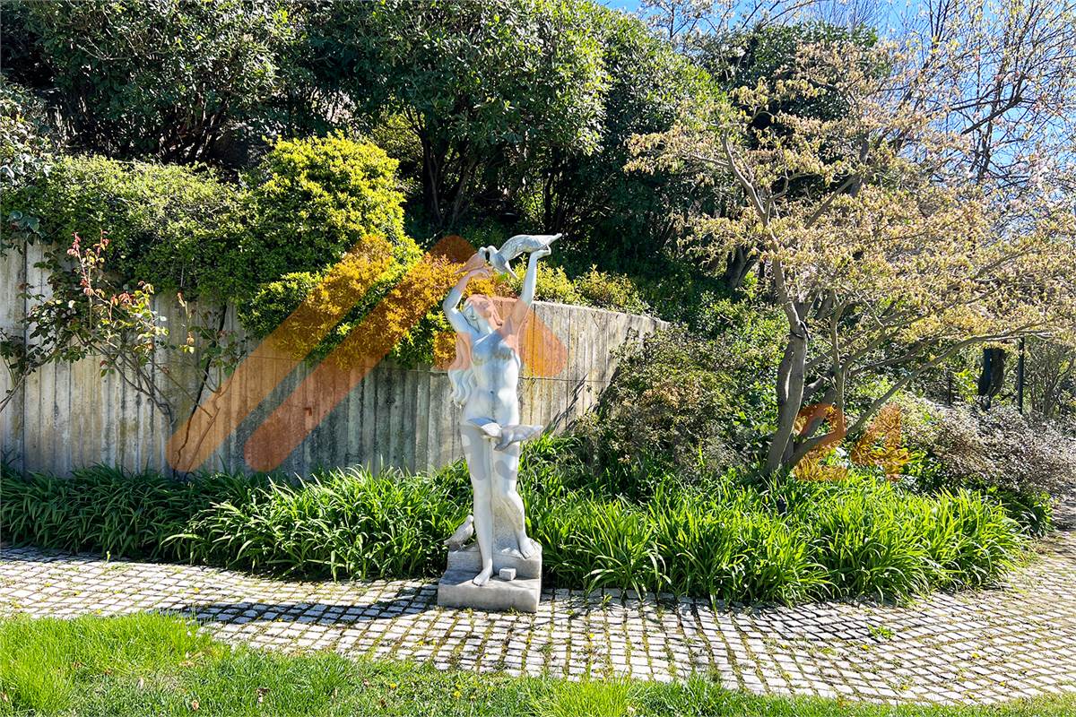 Villa di alto  prestigio 