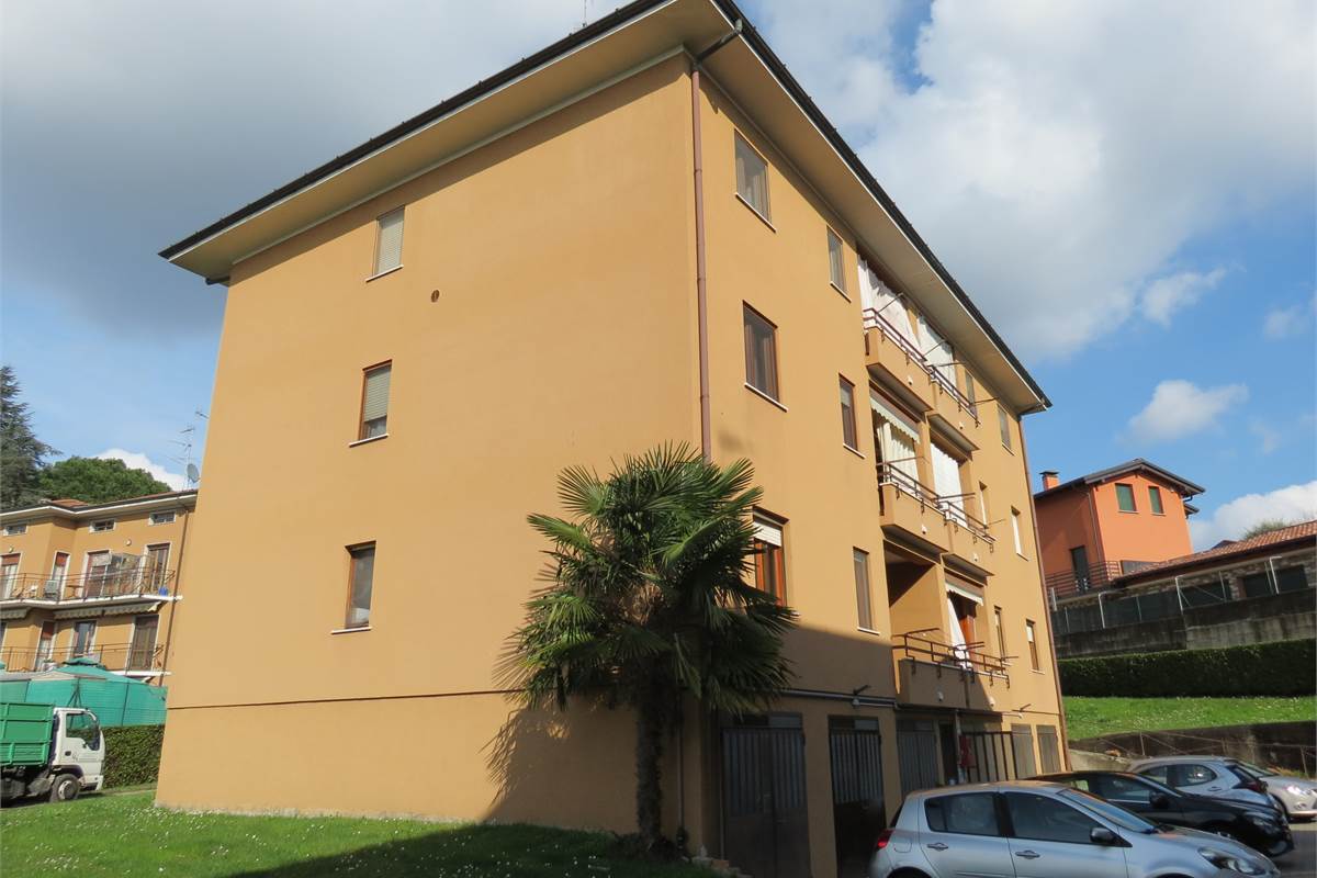Appartamento spazioso e luminoso con ampio box 