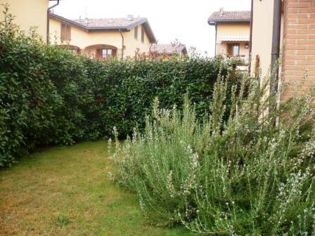 SPLENDIDO BILOCALE A VILLA GUARDIA