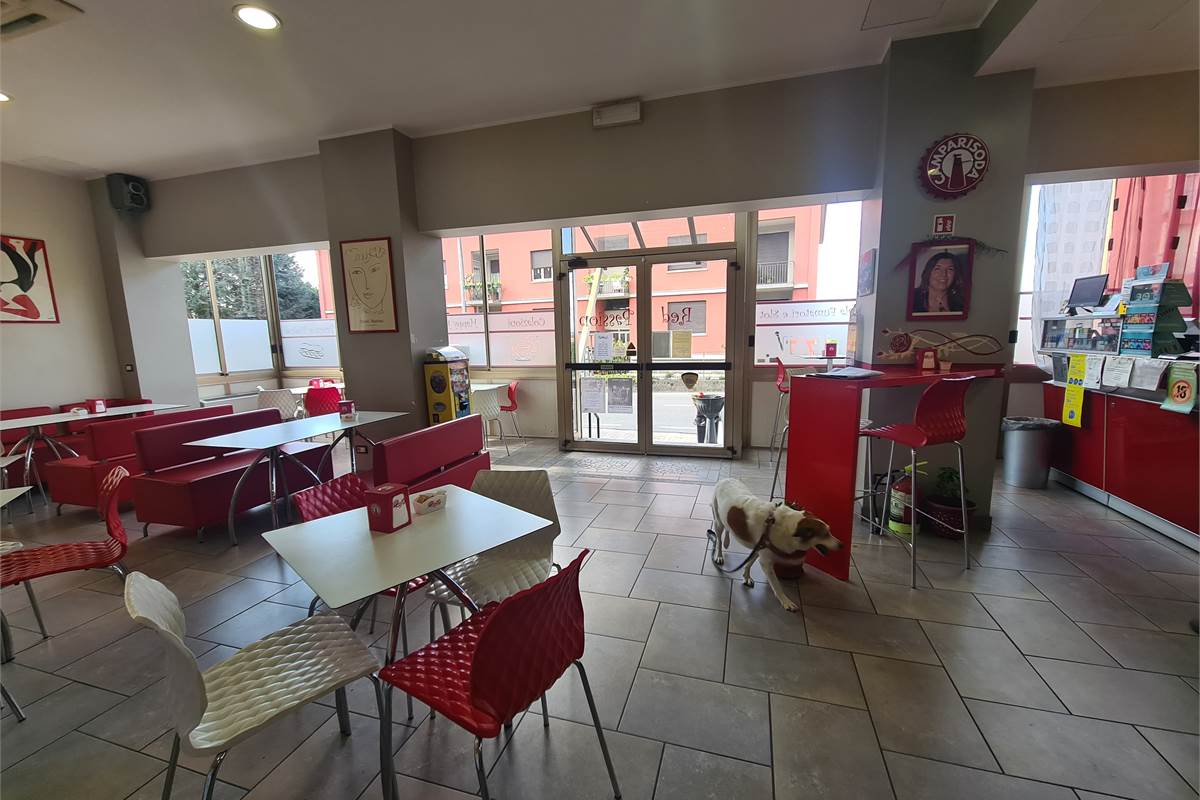 CASA INDIPENDENTE CON BAR