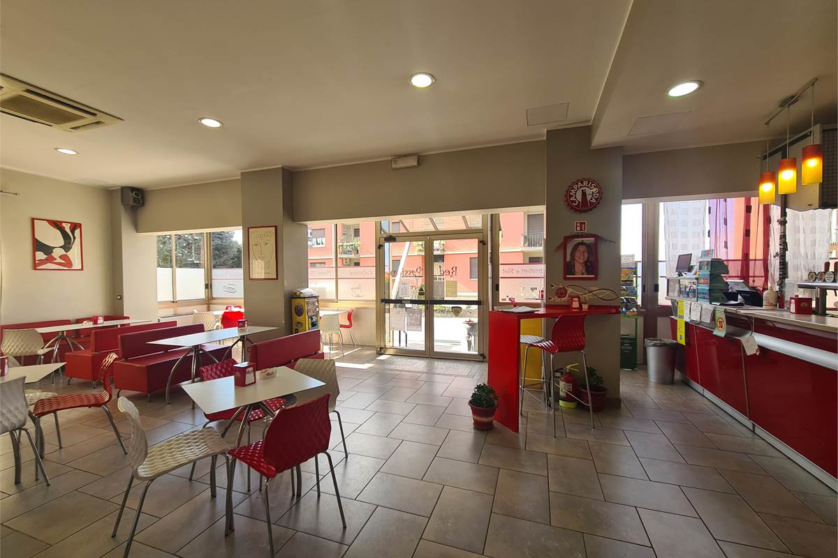 CASA INDIPENDENTE CON BAR