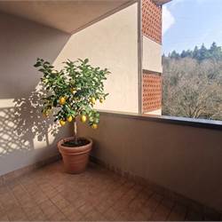 COMO SAGNINO QUADRILOCALE 2 SERVIZI TERMOAUTONOMO CON BOX