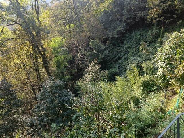 CASA INDIPENDENTE CON GIARDINO 