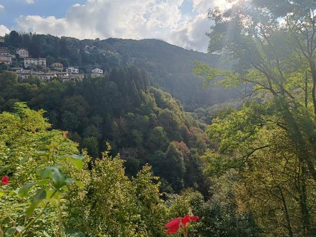 CASA INDIPENDENTE CON GIARDINO 