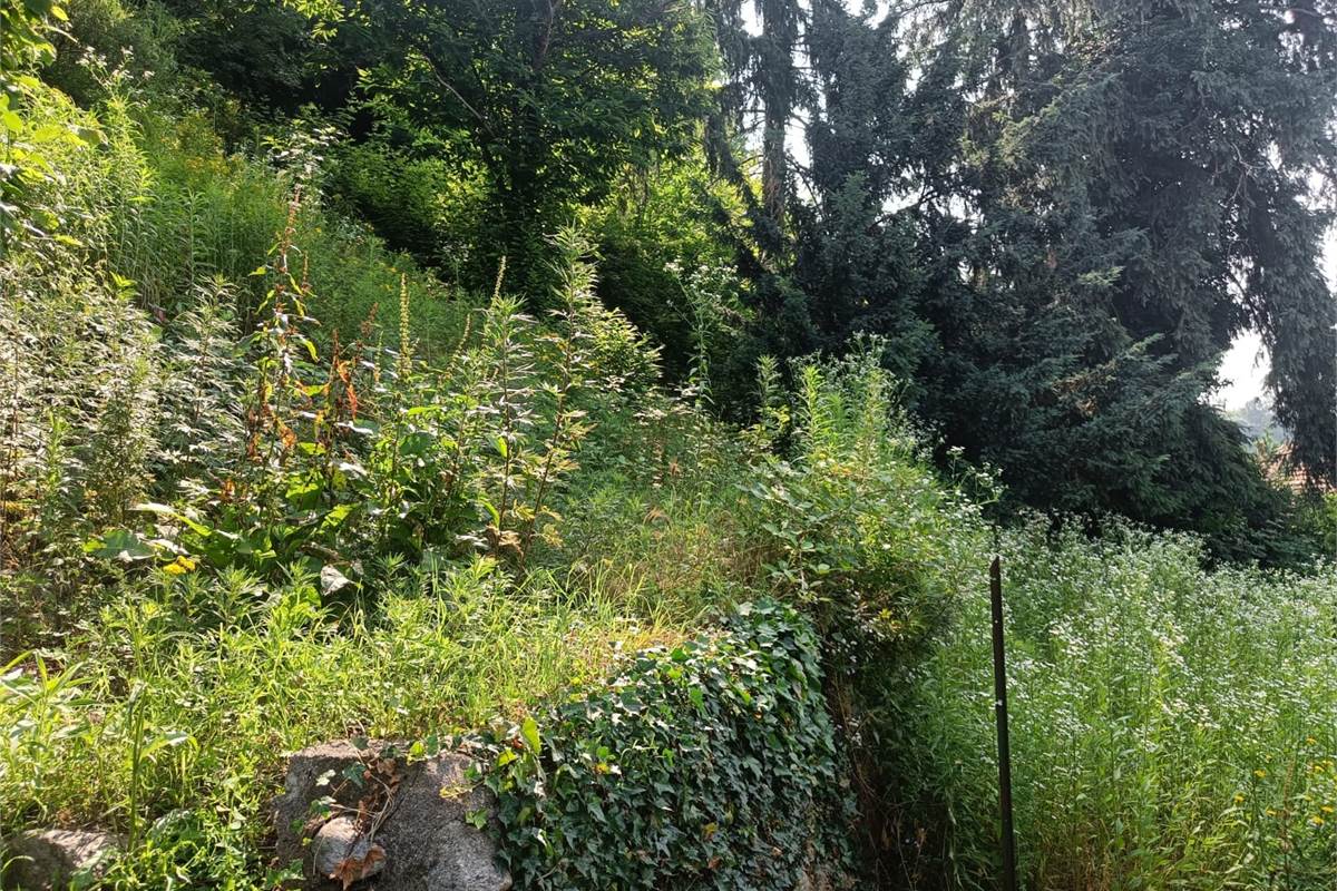CASA SINGOLA CON GIARDINO