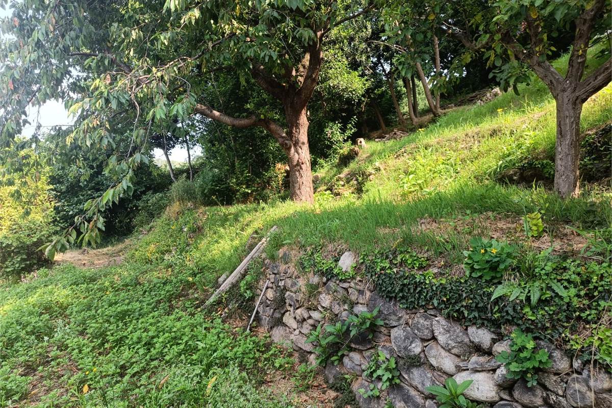 CASA SINGOLA CON GIARDINO