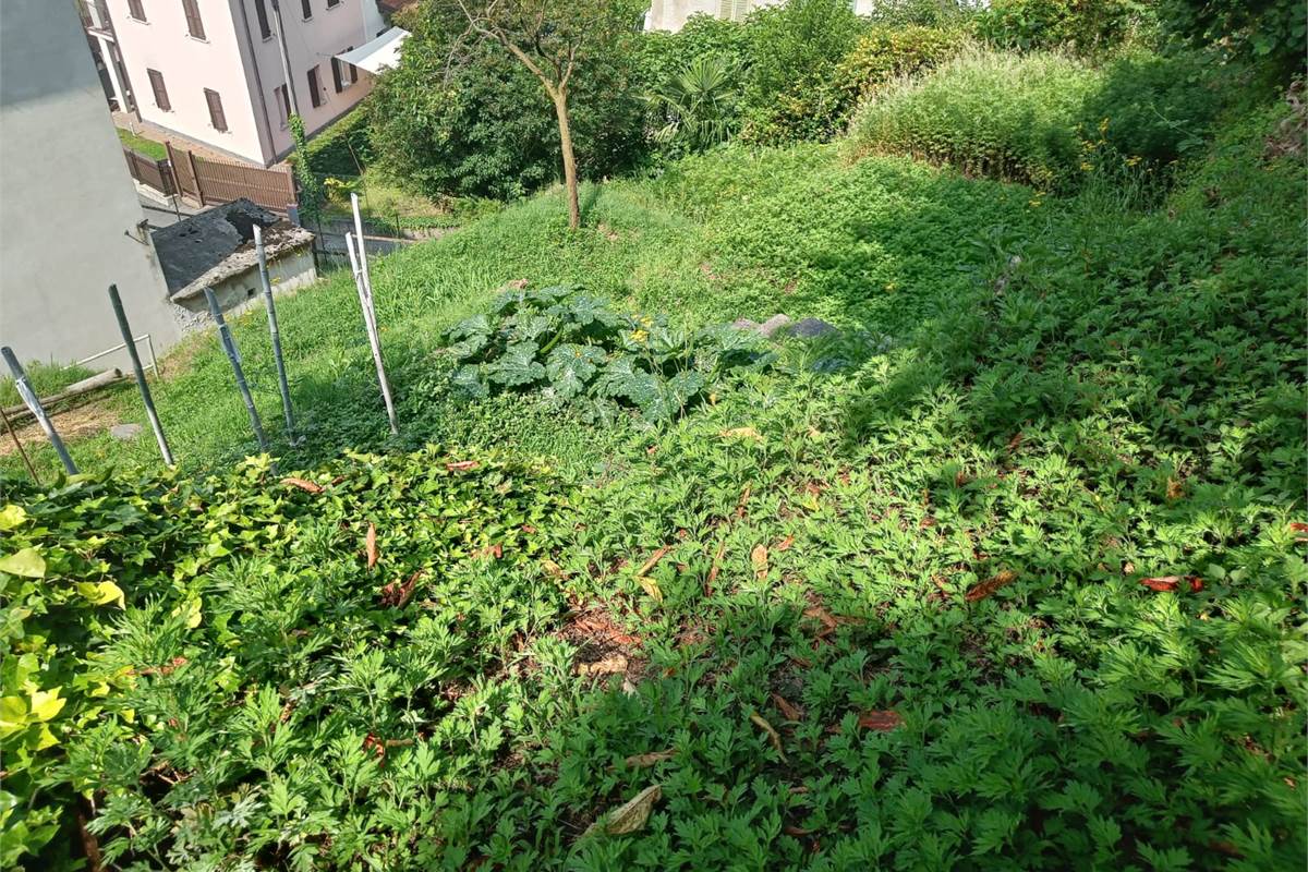 CASA SINGOLA CON GIARDINO