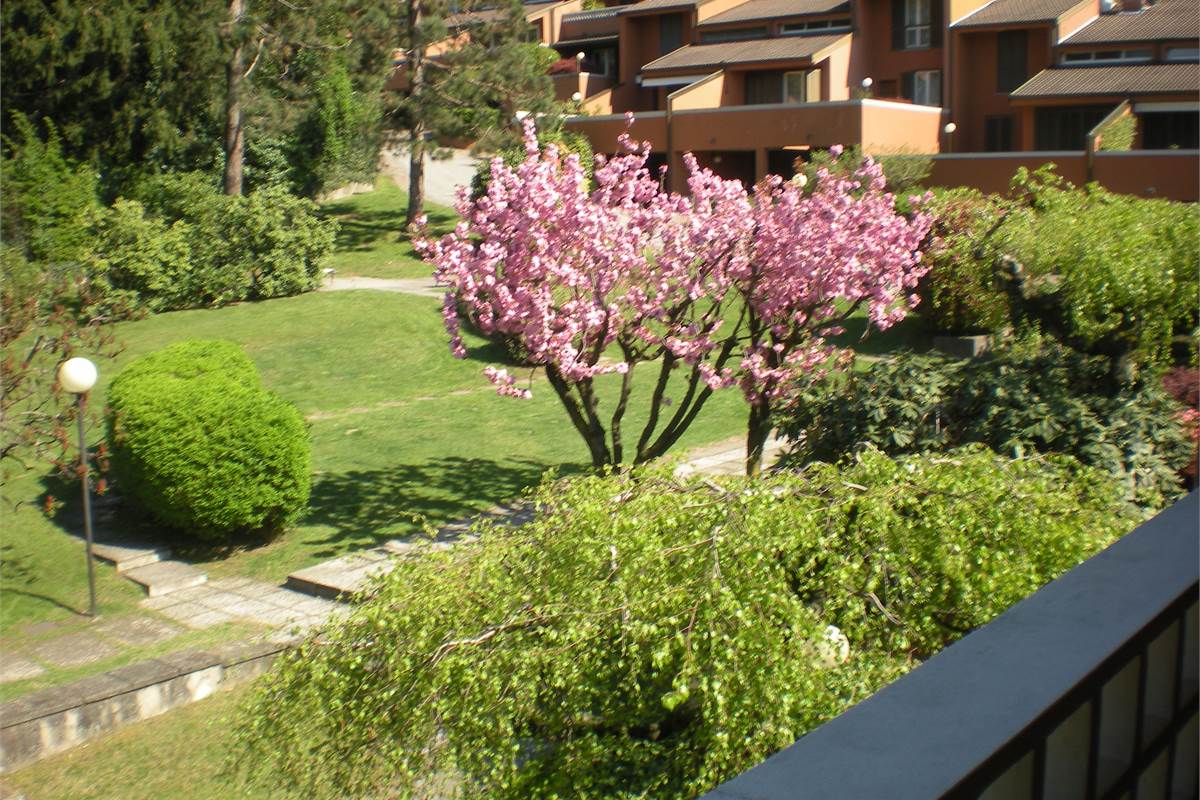 VILLA A SCHIERA DI TESTA