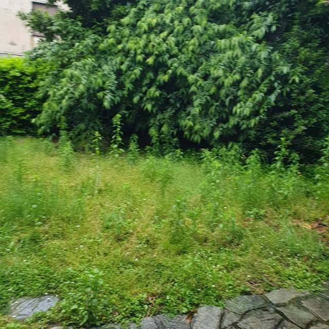 PORZIONE DI CASA CON GIARDINO