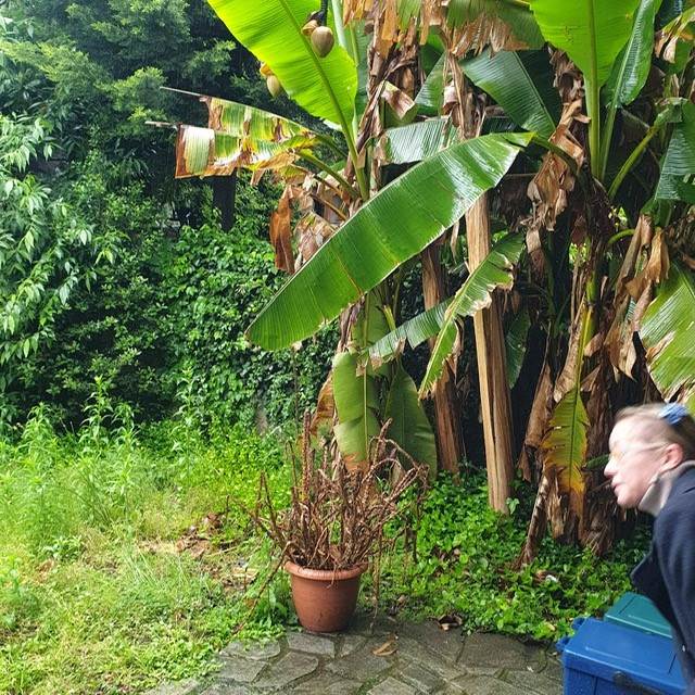 PORZIONE DI CASA CON GIARDINO