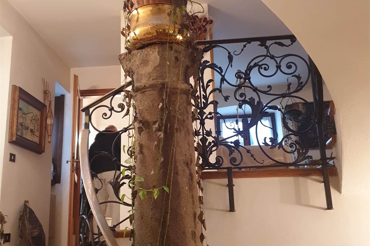 PORZIONE DI CASA CON GIARDINO