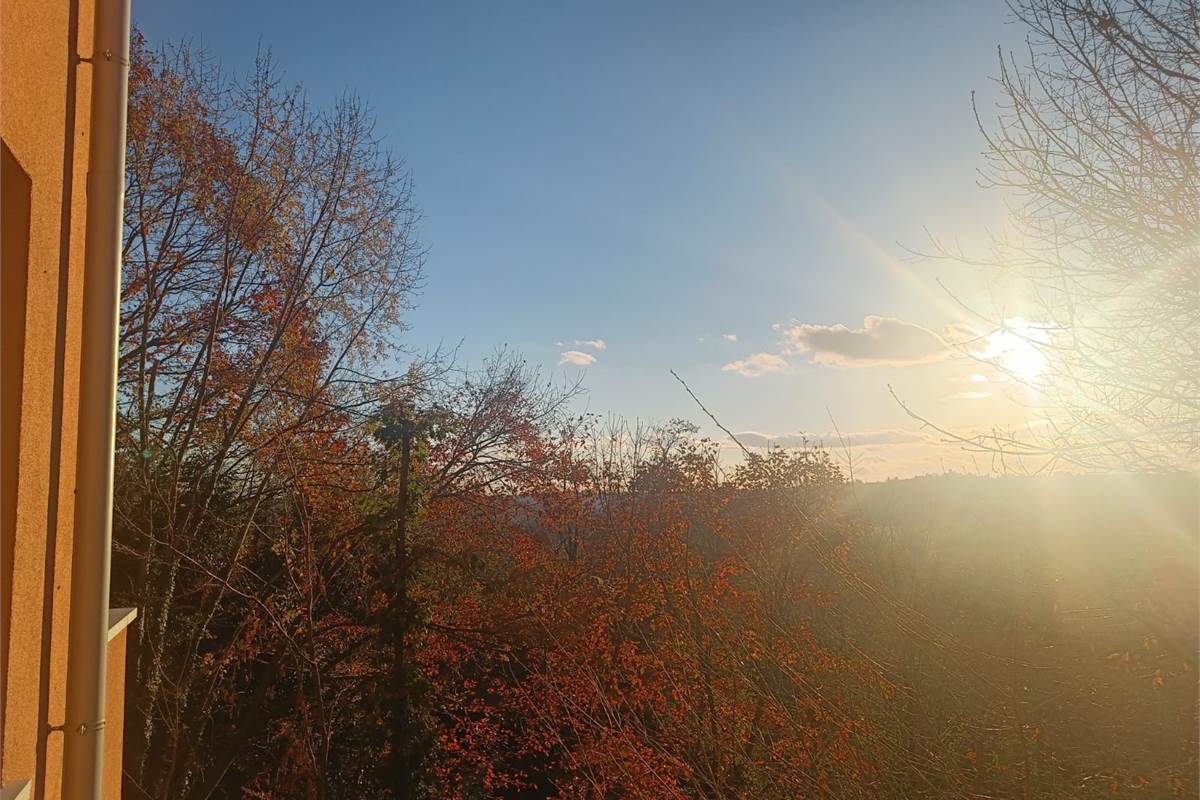 TRILOCALE PIU' SERVIZI CON BOX