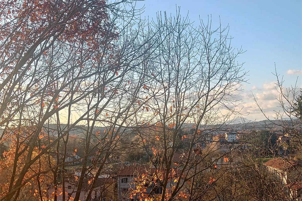 TRILOCALE PIU' SERVIZI CON BOX