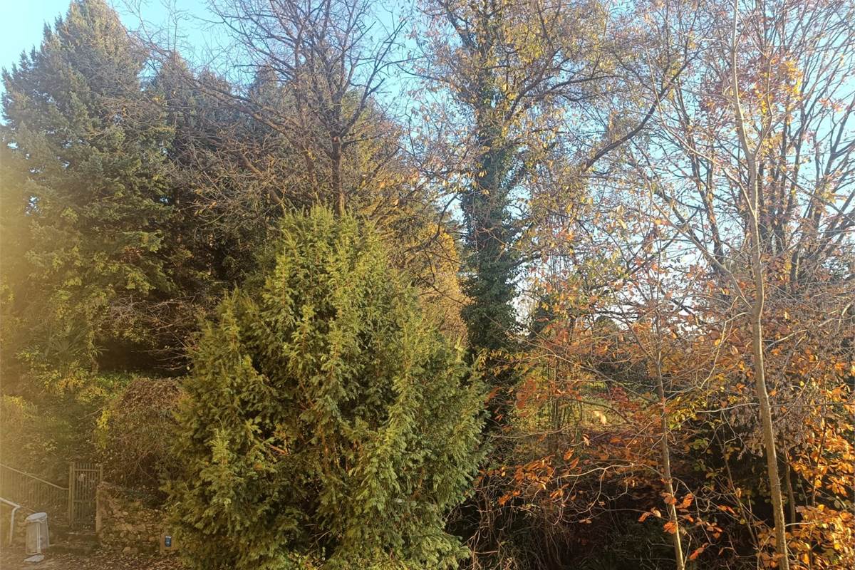 TRILOCALE PIU' SERVIZI CON BOX