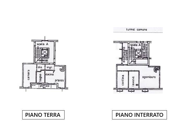 Piantina