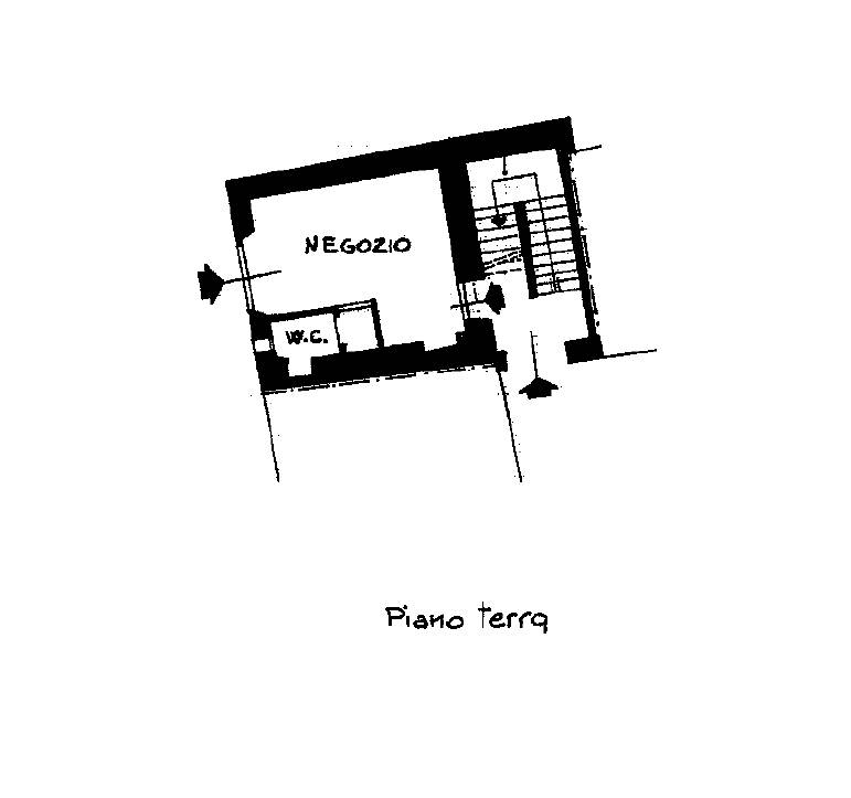 Piantina