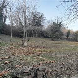 Rif. 10000 - Erba/Terreno agricolo