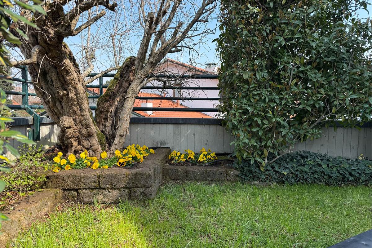 Attico  con terrazzi e box 