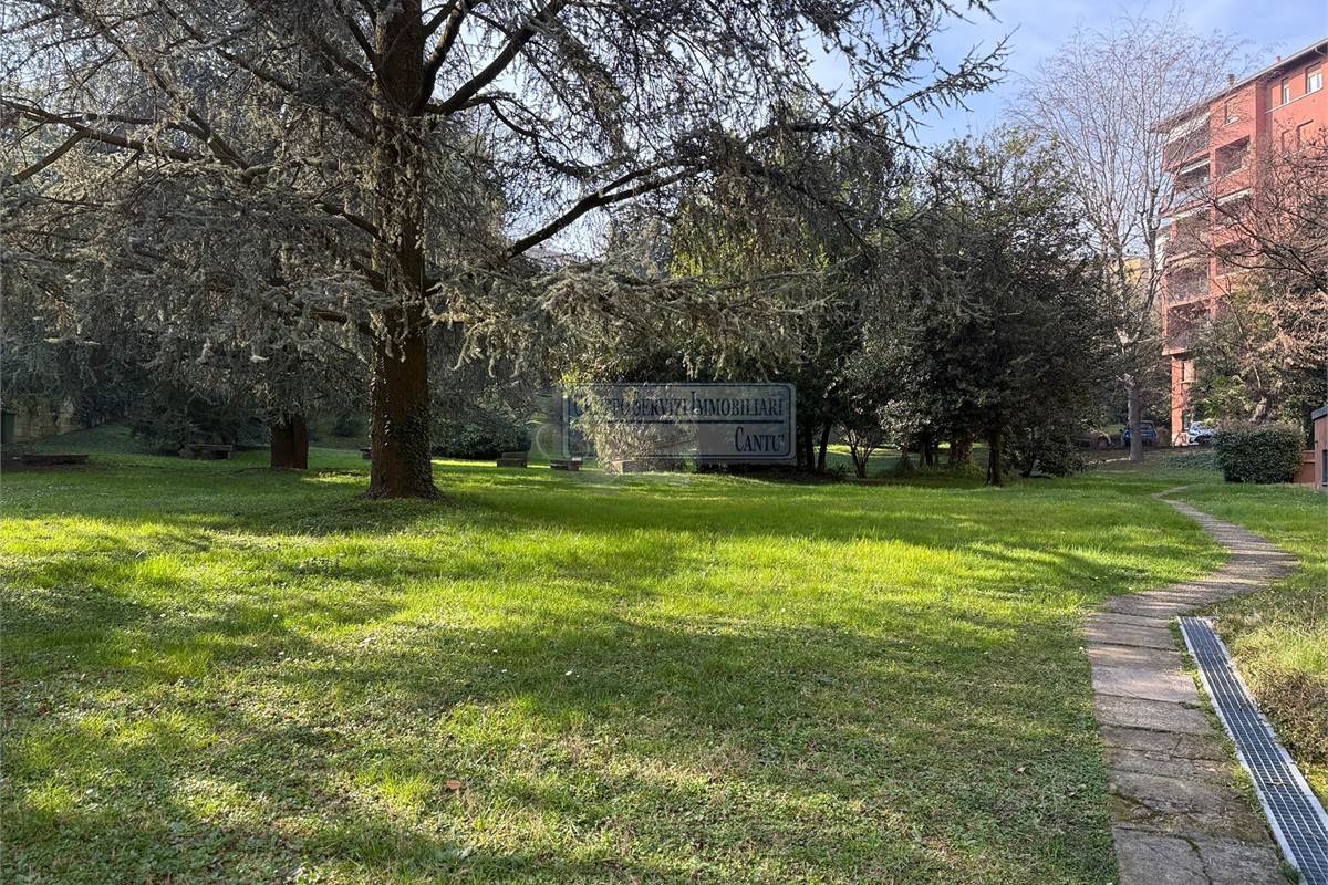 Ristrutturato climatizzato arredato