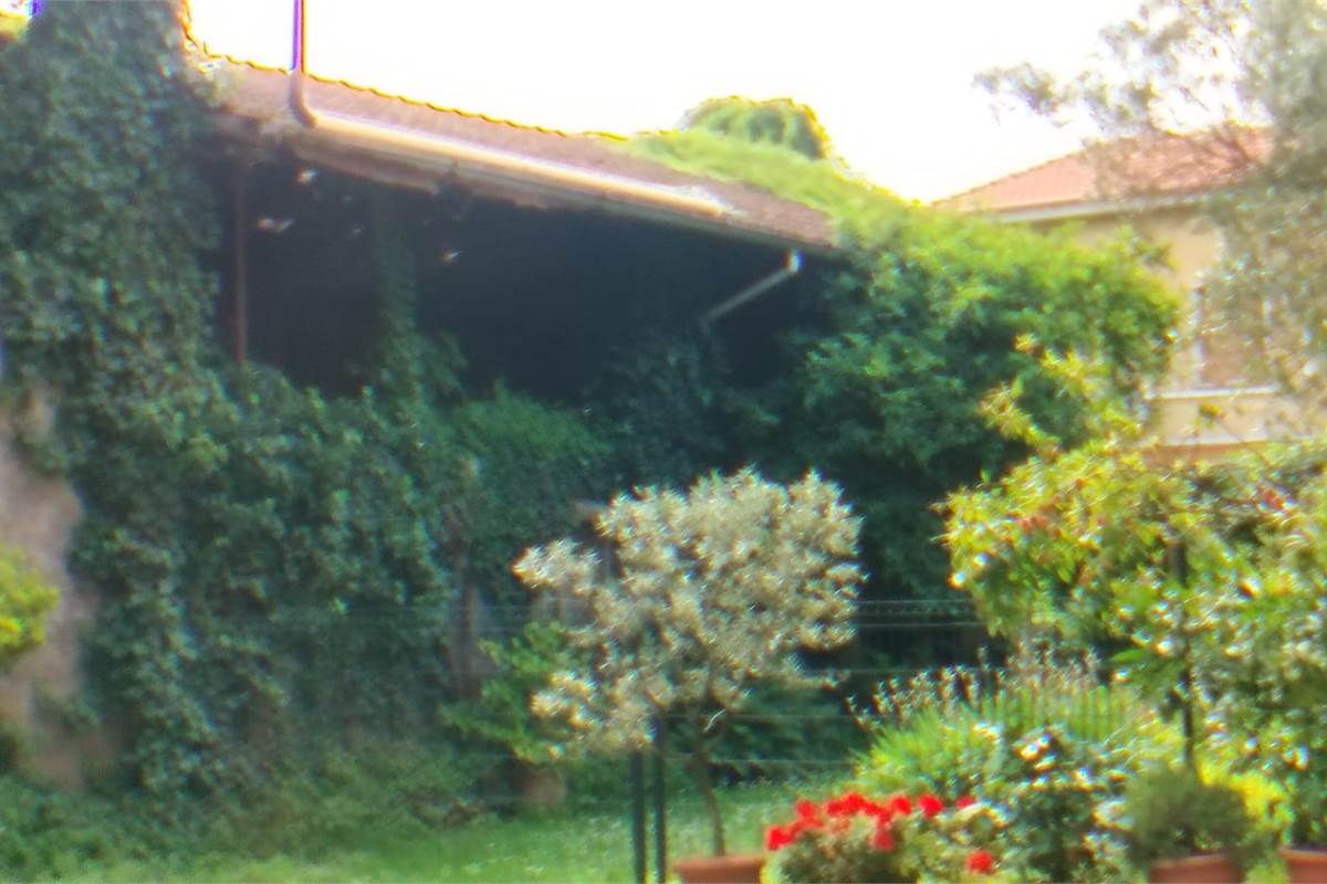 Rustico/Casale In Vendita a Rovellasca