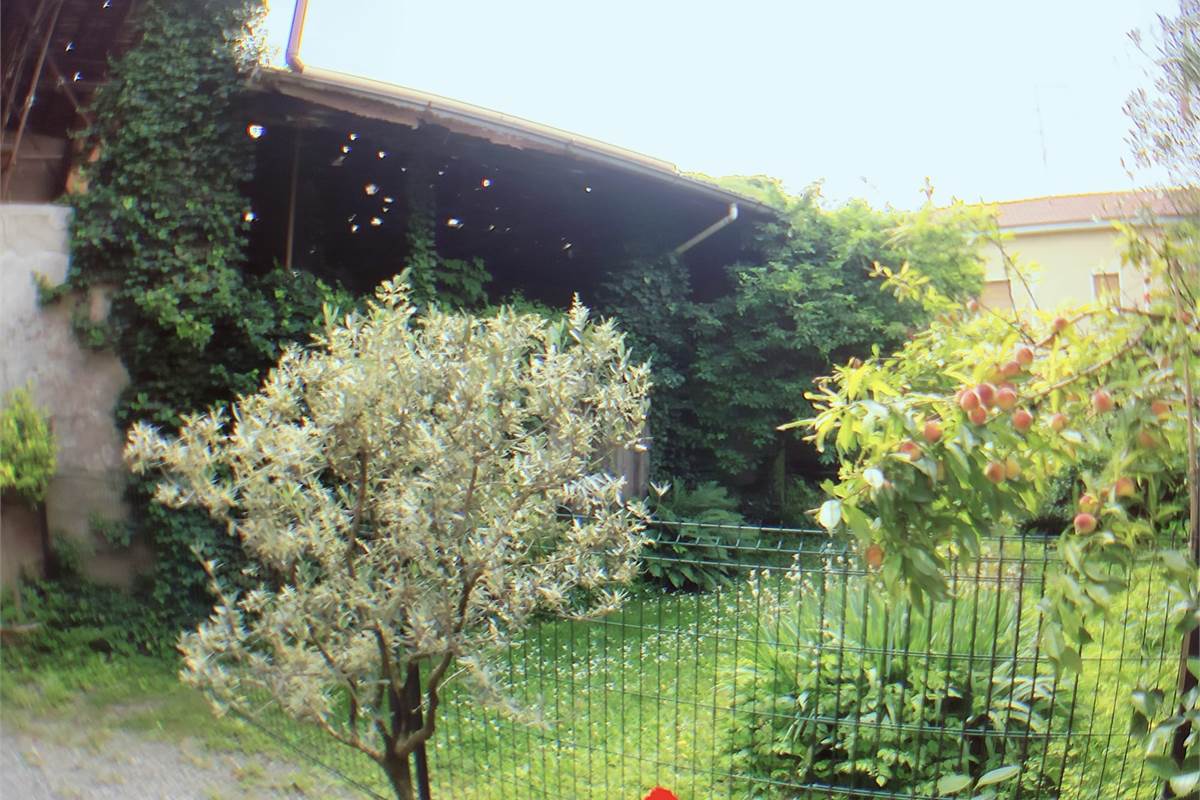 Rustico/Casale In Vendita a Rovellasca