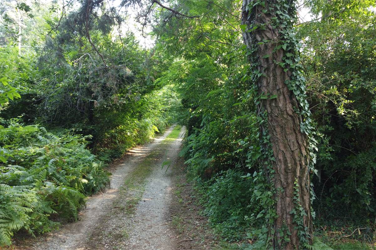 Villa singola immersa nel verde a Vedano Olona