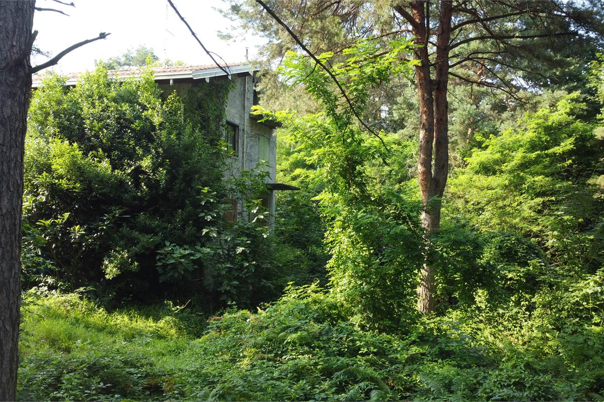 Villa singola immersa nel verde a Vedano Olona