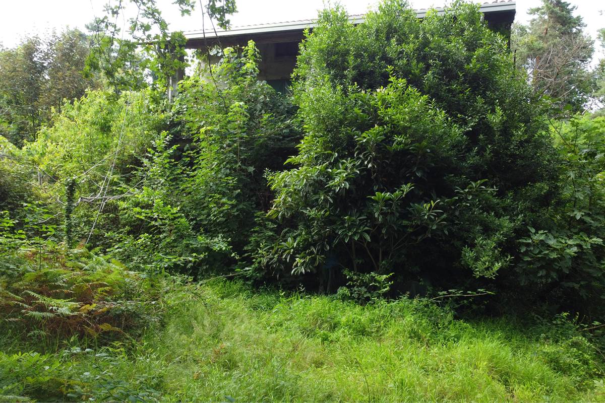 Villa singola immersa nel verde a Vedano Olona