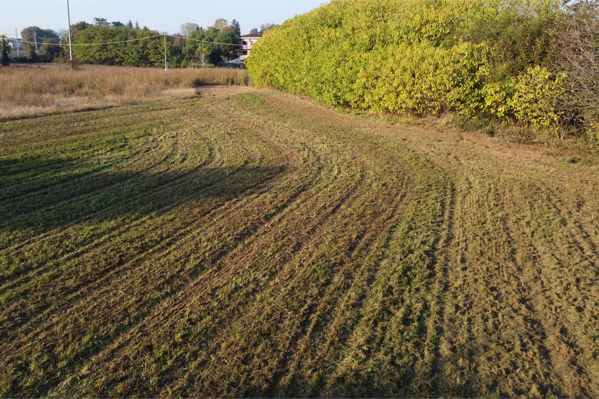 Vendesi valido terreno edificabile a Lomazzo 