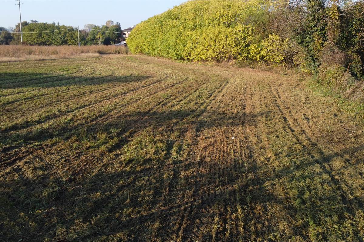 Vendesi valido terreno edificabile a Lomazzo 