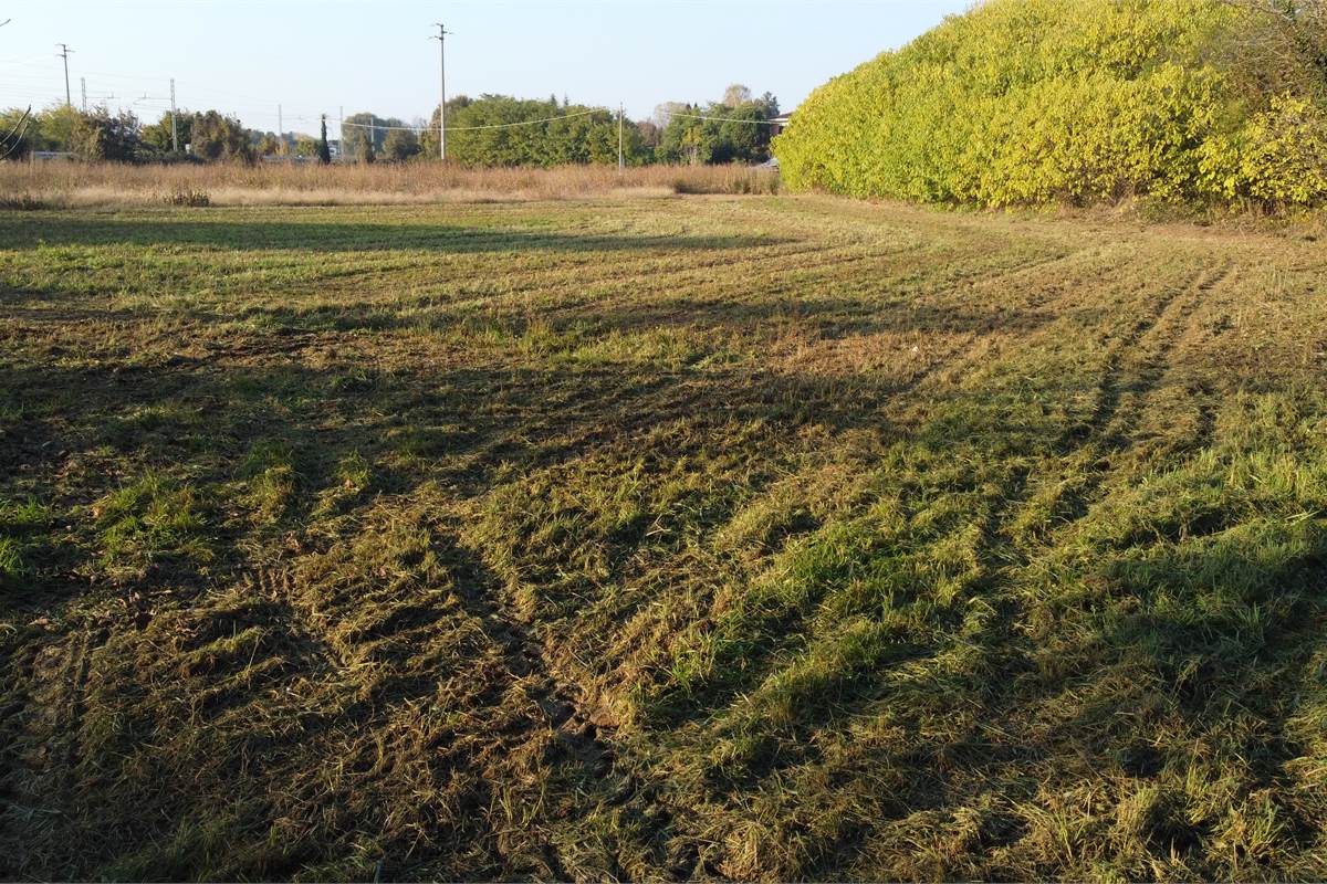 Vendesi valido terreno edificabile a Lomazzo 