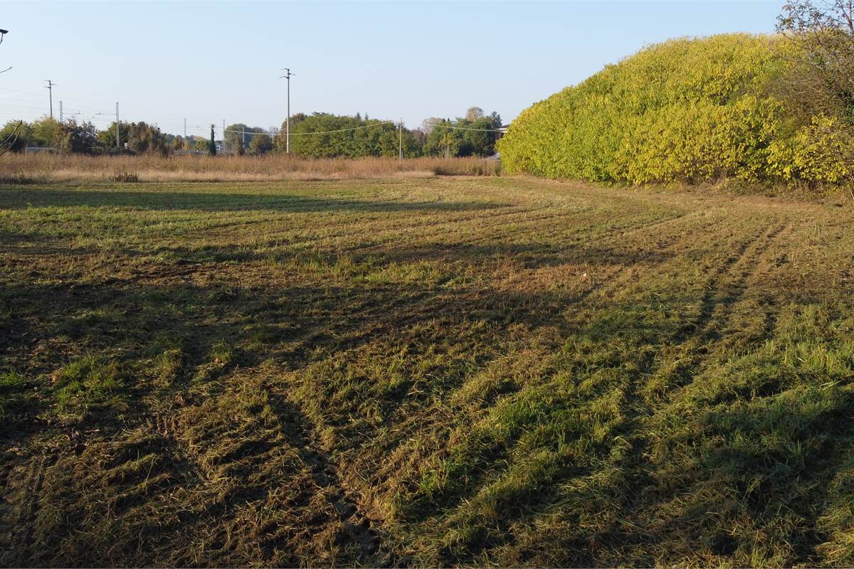 Vendesi valido terreno edificabile a Lomazzo 