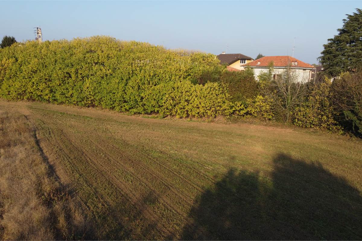 Vendesi valido terreno edificabile a Lomazzo 