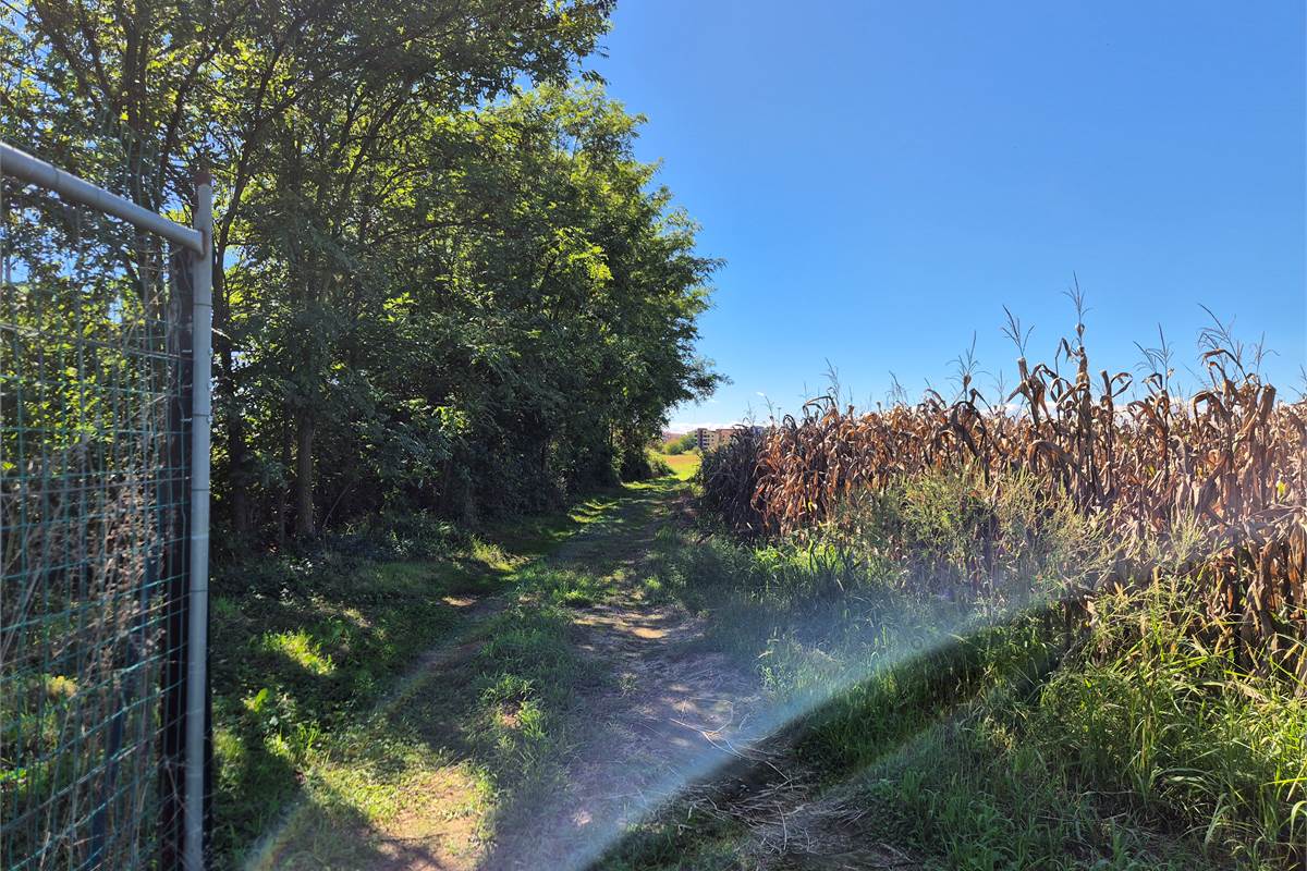 Terreno agricolo recintato a Ceriano Laghetto
