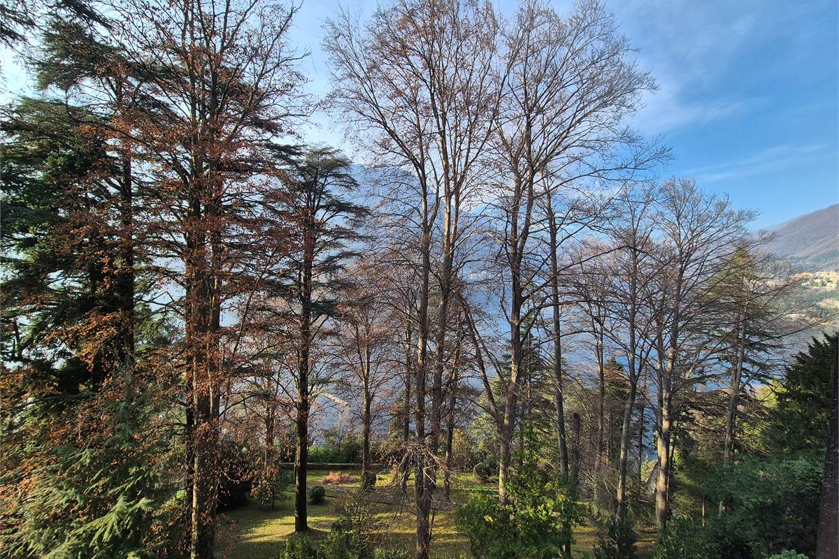 Bilocale vista lago a Faggeto Lario