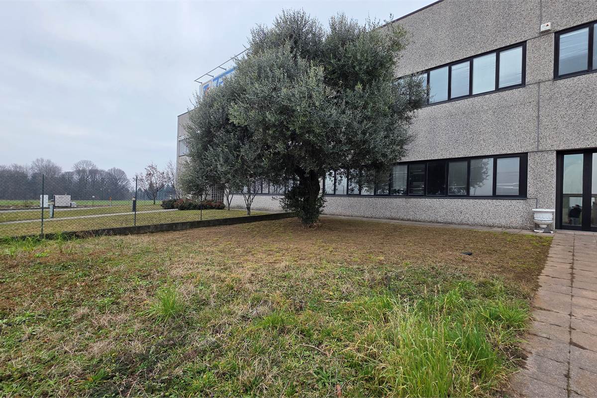 Ampio capannone con spazio esterno a Cirimido 